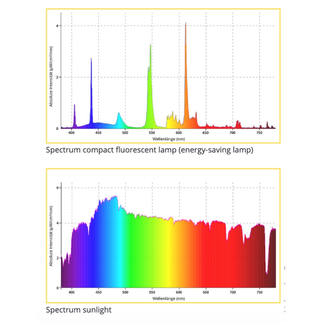 Lampe fluorescente compacte spectrum (lampe à économie d'énergie) - Spectre de la lumière du soleil